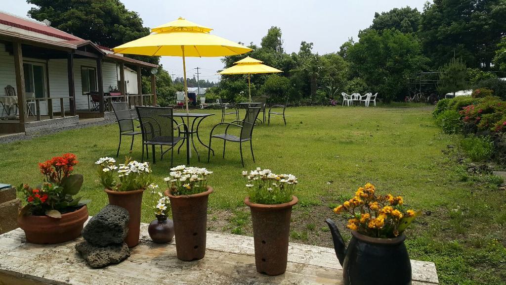 Joseph Tree Guest House Чеджудо Экстерьер фото